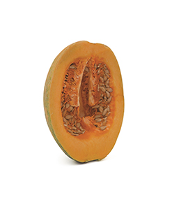 auyama criolla lb