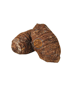 yautia amarilla lb